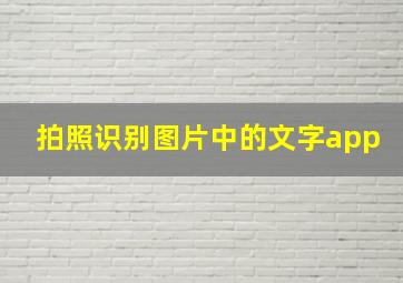 拍照识别图片中的文字app