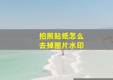 拍照贴纸怎么去掉图片水印