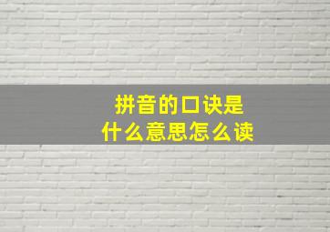 拼音的口诀是什么意思怎么读