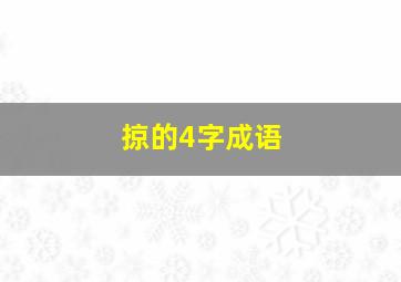 掠的4字成语