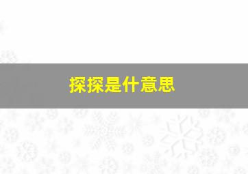 探探是什意思