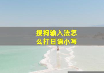 搜狗输入法怎么打日语小写