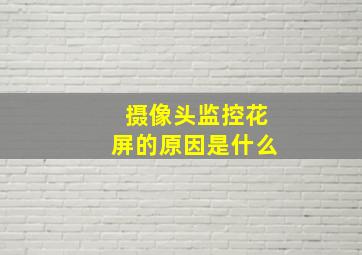 摄像头监控花屏的原因是什么