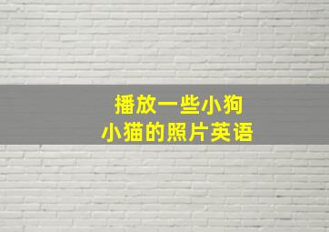 播放一些小狗小猫的照片英语