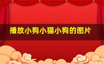 播放小狗小猫小狗的图片