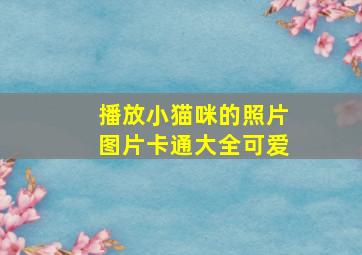 播放小猫咪的照片图片卡通大全可爱