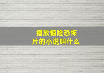 播放惊险恐怖片的小说叫什么