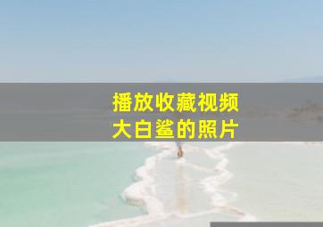 播放收藏视频大白鲨的照片