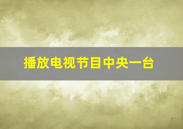 播放电视节目中央一台