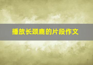 播放长颈鹿的片段作文