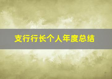 支行行长个人年度总结