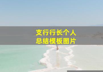 支行行长个人总结模板图片