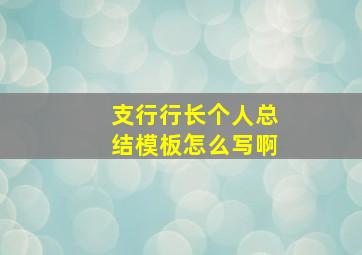 支行行长个人总结模板怎么写啊