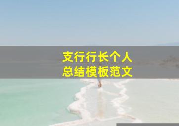 支行行长个人总结模板范文