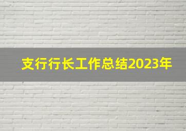 支行行长工作总结2023年