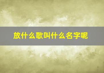 放什么歌叫什么名字呢