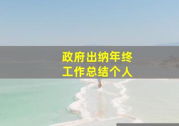 政府出纳年终工作总结个人