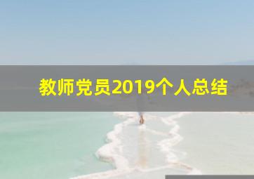 教师党员2019个人总结