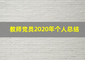 教师党员2020年个人总结