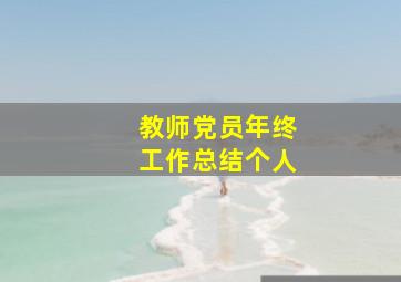 教师党员年终工作总结个人