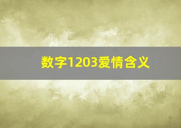 数字1203爱情含义