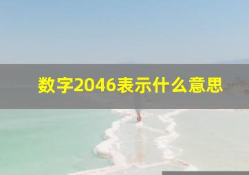 数字2046表示什么意思