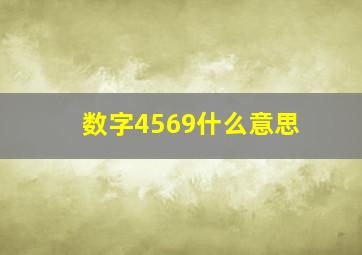 数字4569什么意思