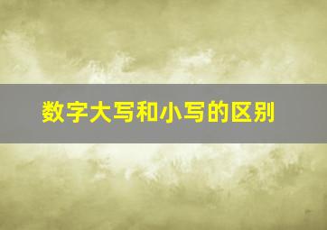 数字大写和小写的区别