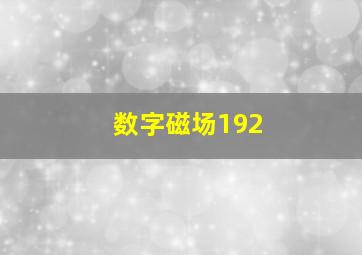 数字磁场192