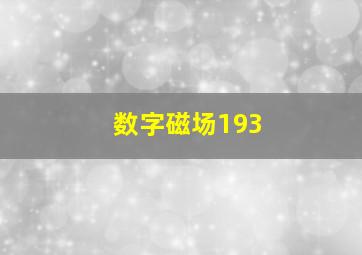 数字磁场193