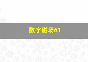 数字磁场61