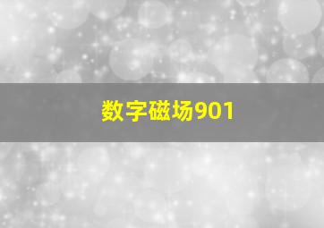 数字磁场901