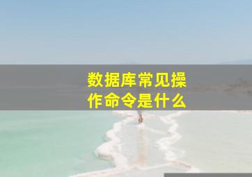 数据库常见操作命令是什么