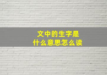 文中的生字是什么意思怎么读