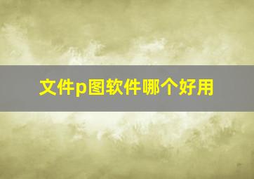 文件p图软件哪个好用