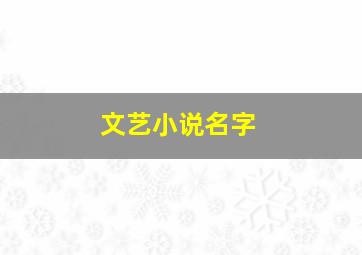 文艺小说名字