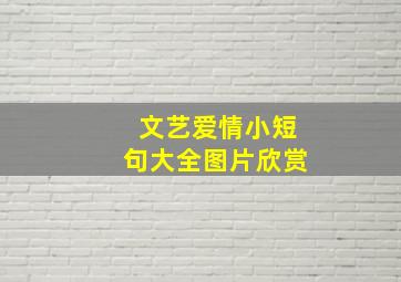 文艺爱情小短句大全图片欣赏