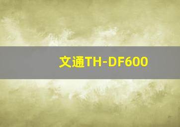 文通TH-DF600