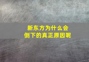 新东方为什么会倒下的真正原因呢