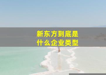 新东方到底是什么企业类型