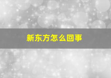 新东方怎么回事