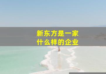 新东方是一家什么样的企业