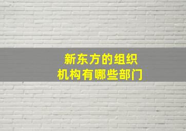 新东方的组织机构有哪些部门