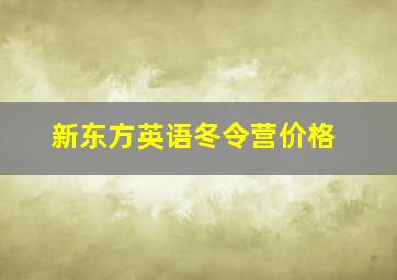 新东方英语冬令营价格