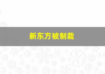 新东方被制裁