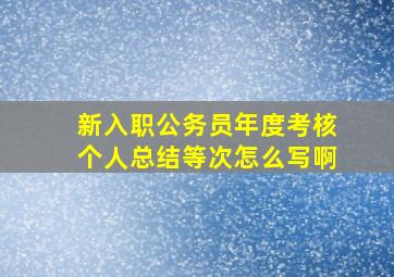 新入职公务员年度考核个人总结等次怎么写啊