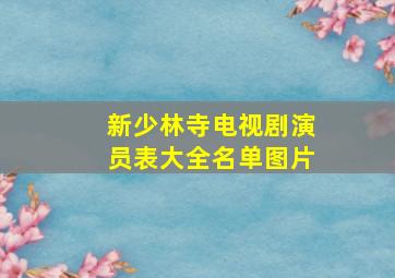 新少林寺电视剧演员表大全名单图片