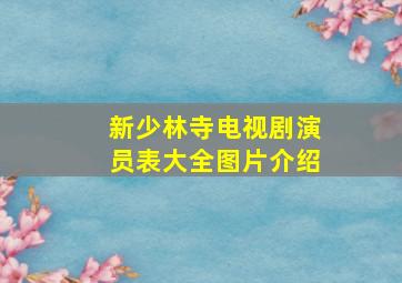 新少林寺电视剧演员表大全图片介绍