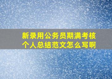 新录用公务员期满考核个人总结范文怎么写啊