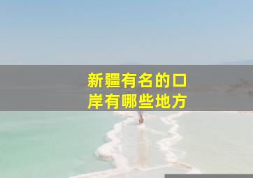 新疆有名的口岸有哪些地方